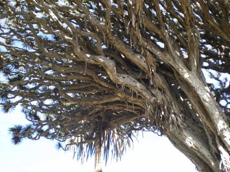 Alquiler coches mallorca opiniones