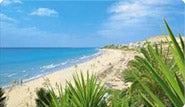 Fuerteventura car rental with no hidden costs. Fuerteventura car rental with full insurance no excess. Fuerteventura car rental with the guarantee of paying only what you are quoted.