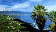 Alquiler de coches en Tenerife Norte sin gastos adicionales. Alquiler de coches en Tenerife Norte con seguro sin gastos adicionales. Alquiler de coches en Tenerife Norte con la seguridad de pagar solo lo que usted ve.