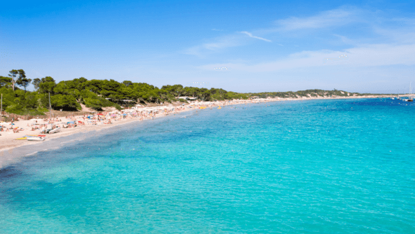 ses-salines