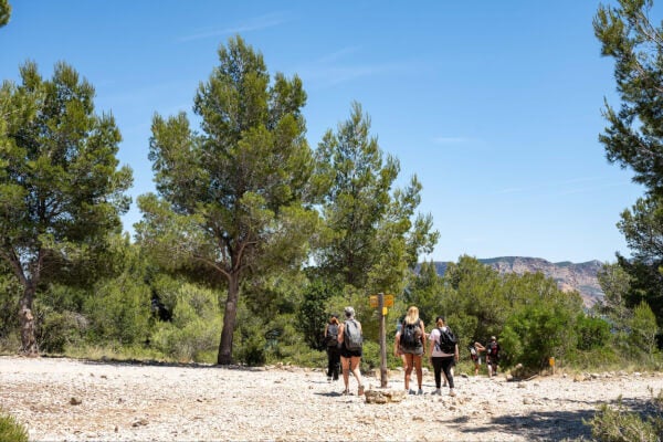 Disfruta de una ruta de senderismo con amigos