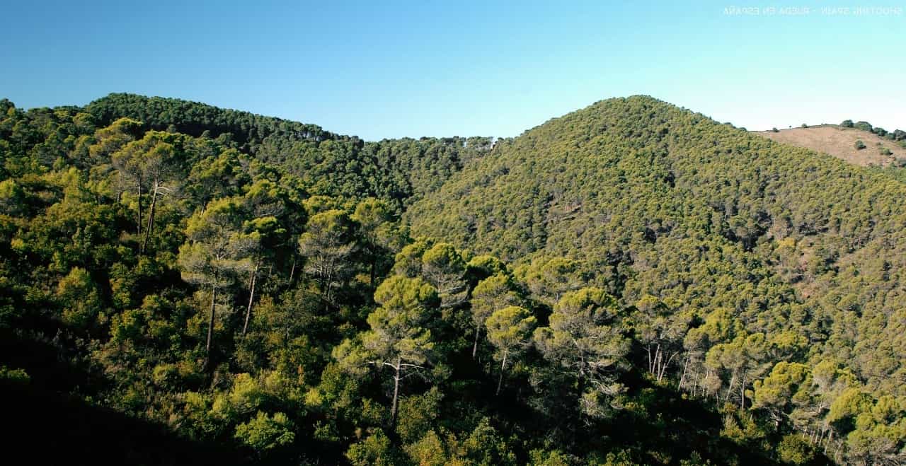 rural-tourism1