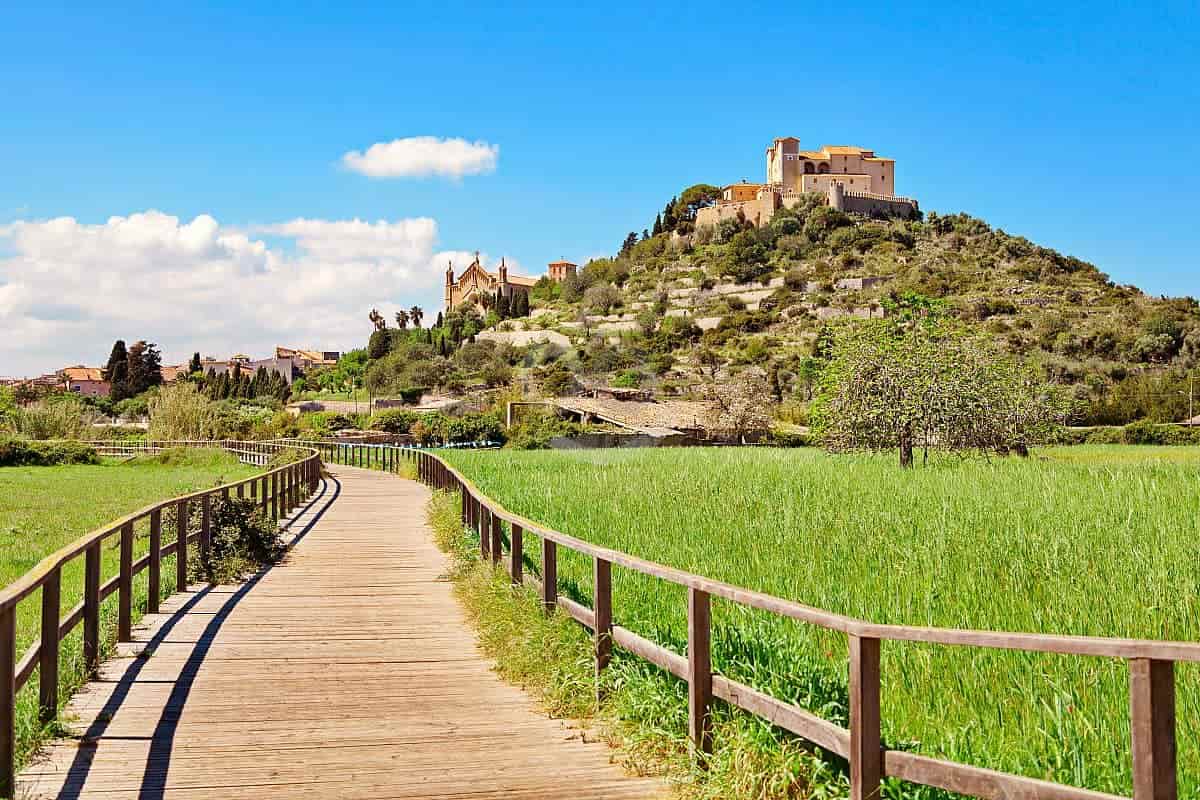 alcudia-arta1