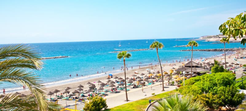 proteína borroso Casi Car Hire Tenerife, Playa de las Americas from £4 day - 100% Lowest Price  Guaranteed!