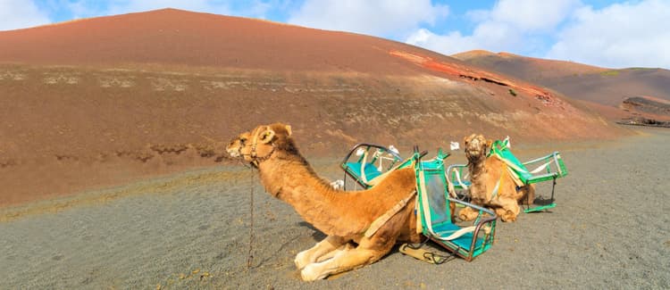 Elige el Mejor Coche de Alquiler en Lanzarote