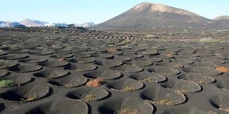 Alquila el Mejor Coche en Lanzarote